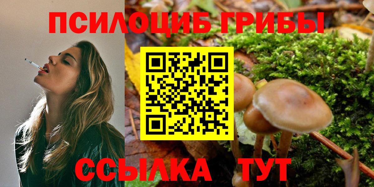 Галлюциногенные грибы Magic Shrooms  Вход с VPN  Кисловодск 